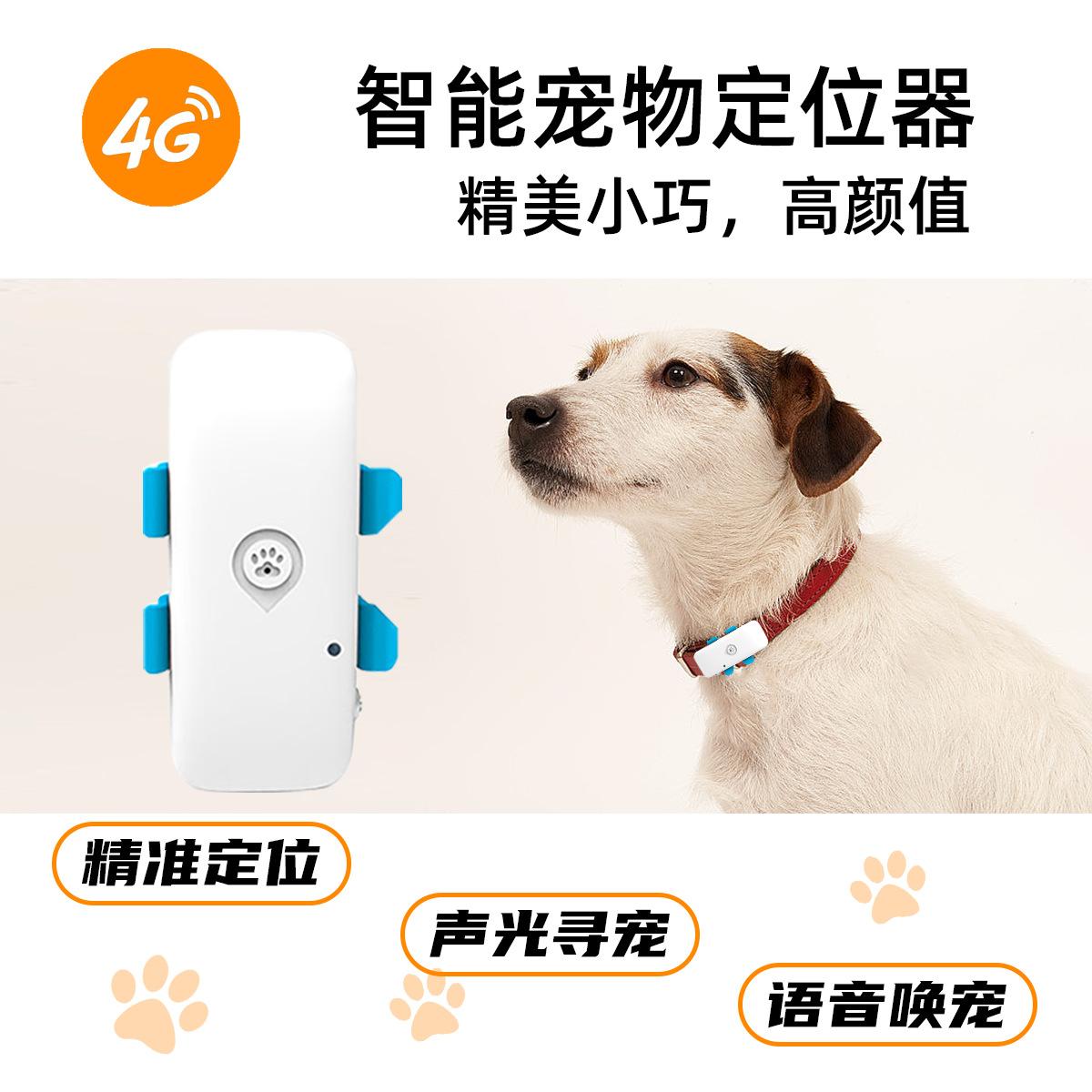 

Pet 4G GPS глобальный локатор для отслеживания кошек и собак обеспечивает удаленный просмотр приложения standard