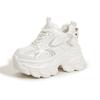 Daddy shoes women's new 2025 spring fashion versatile muffin mesh platform casual sports shoes inner height-increasing women's shoes