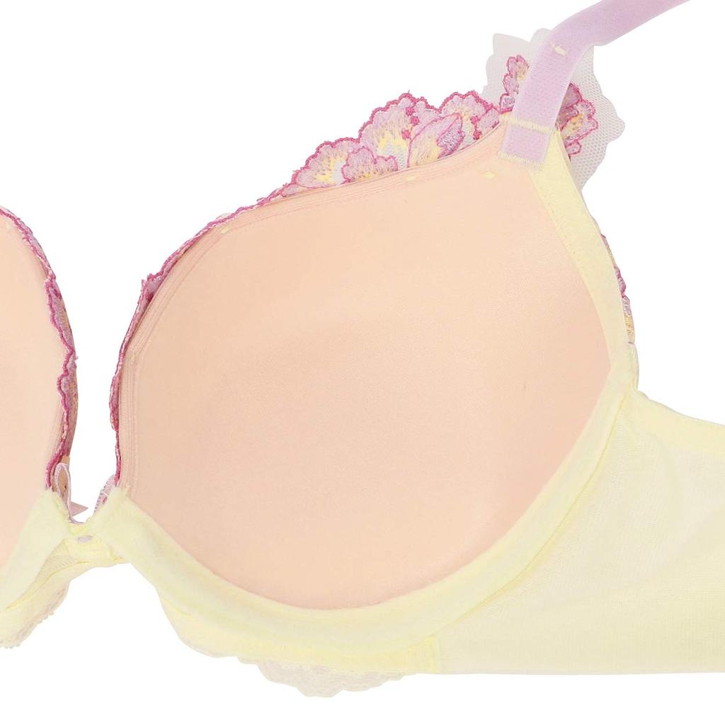 Triumph Premium Red Label 0065 Bra TR0065WHU1 M014 Japan D70 Women's (Black) (-)