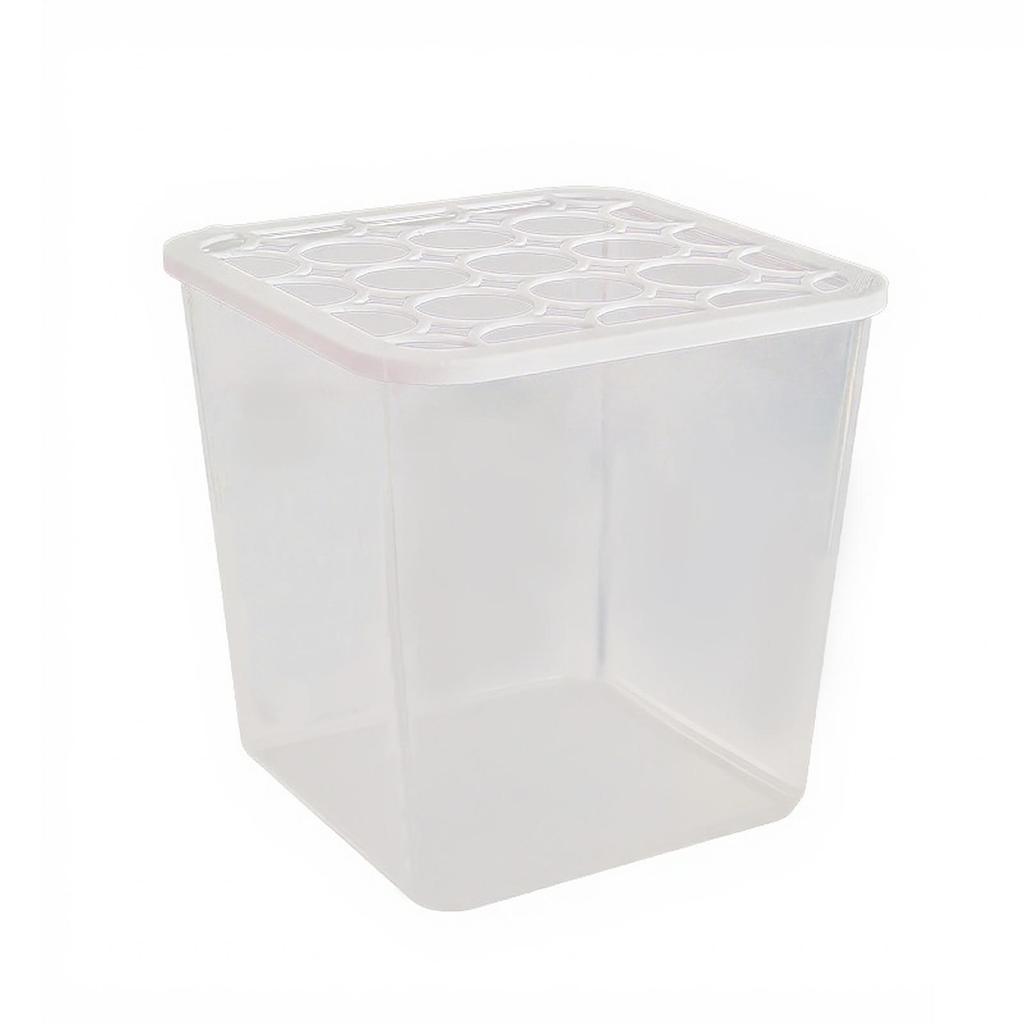 Hydroponic Vase Indoor Plants Water Nurturing Vase Modern Practical Plant Cultivation Pot Planter for Windowsill Dorm Indoor