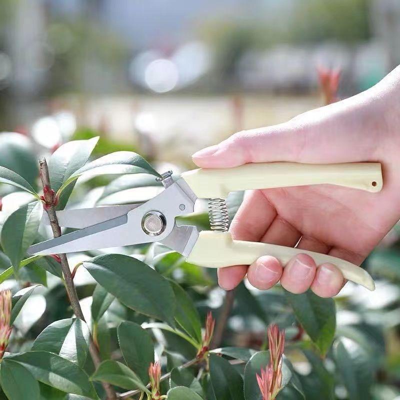 Heavy Duty Pruning Shears, Garden Shears for Tree Trimming, Sharp Bypass Pruners for Plants, Flowers and Branches