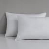 Mercury Ningyi Antibacterial Hemp Pillow Pair