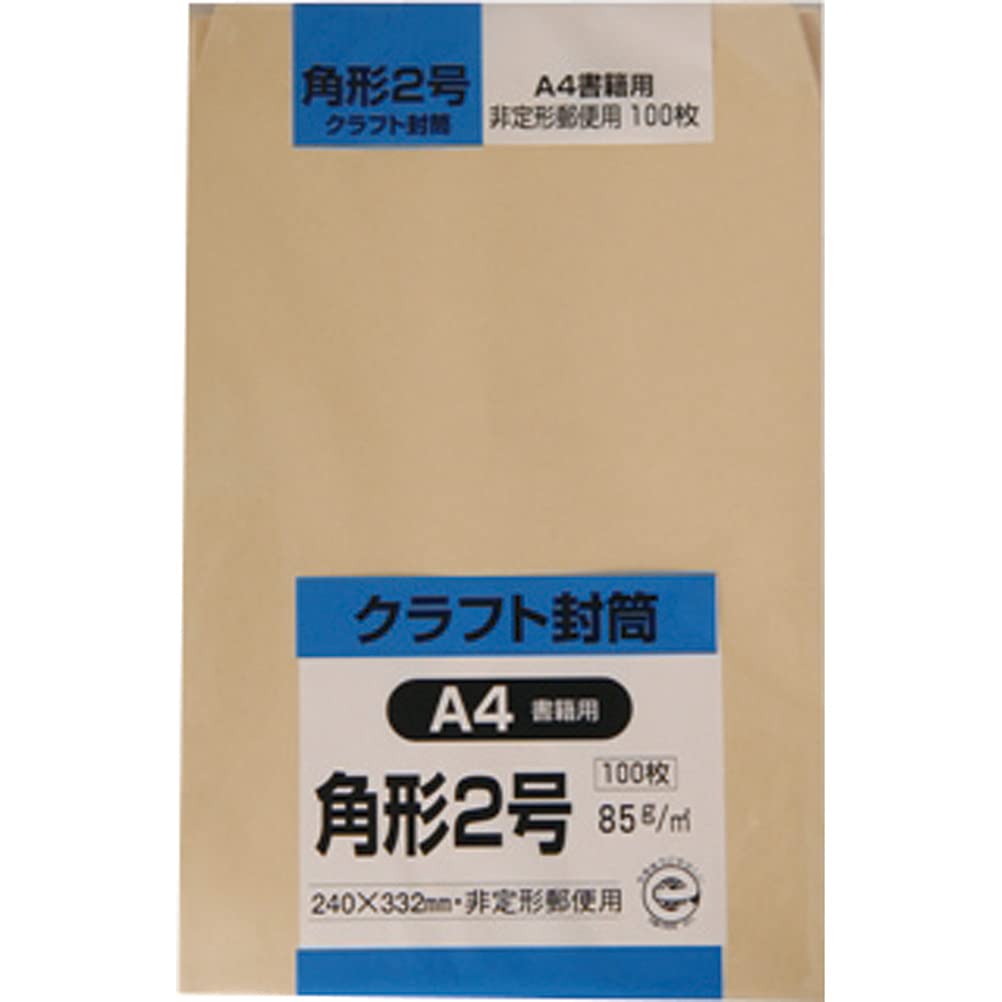 

King Corporation Envelope Craft Square 2 100 Sheets 85g K2K85 No.