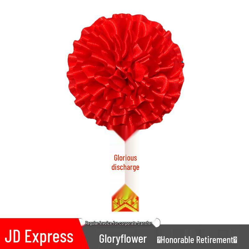 Military Commemorative Gifts & Accessories 13cm