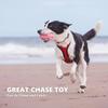 TPR Dog Chew Toys Rugby Ball Shape Sound Dog Toys Dog Squeaky Toy  for Medium And Large Dogs