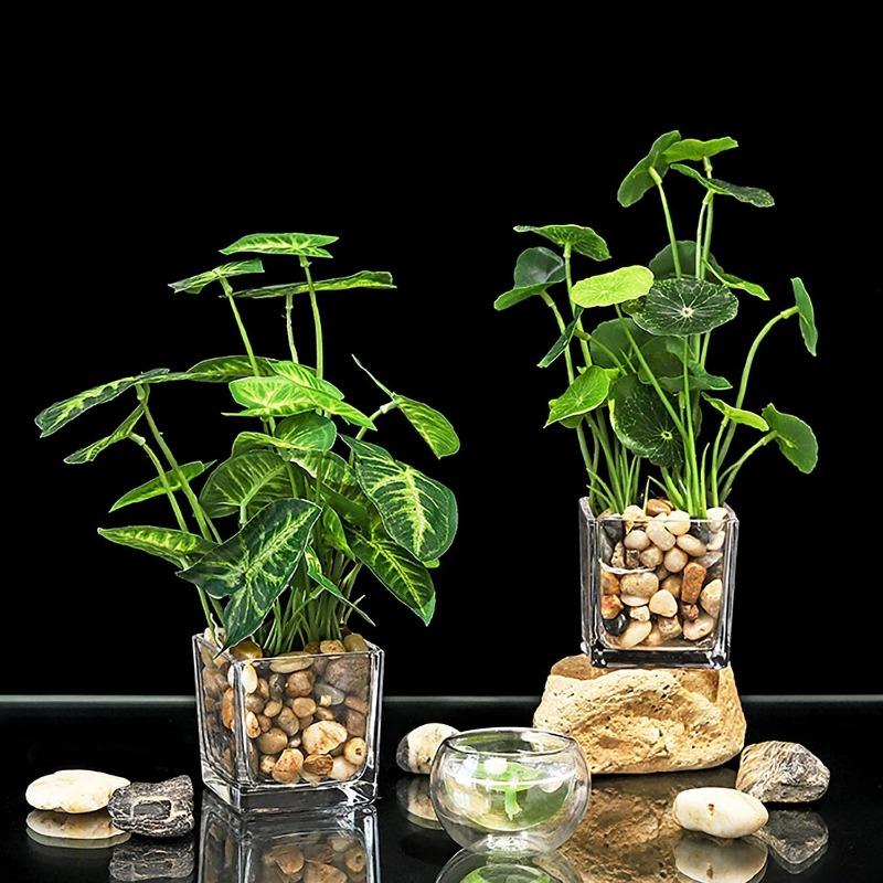 Artificial Potted Plants, Set of 4 Faux Tabletop Greenery with Clear Glass Pots and Cobblestones, Included Artificial Taro