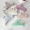 Nacreous Fish Bone Hair Clip Slip Resistant Design Lightweight Hairpin For Women Girls Soft Feel Wear