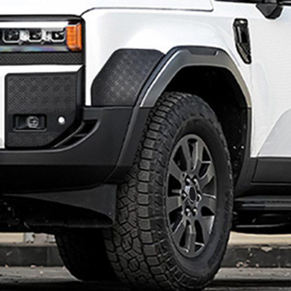 Front Fender Flare Protector for 2024