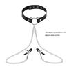 Elegant Choker with Nipple Clamps: Adult Training & Flirting Toy for Couples