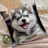 Cute Husky Puppy Print Throw Pillow Cover Realistic Smiling Siberian Husky Themed Cushion Case For Pet Lovers Home Couch Decor