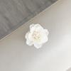 Three-Dimensional Flower Mobile Phone Airbag Bracket Xiaoqing Fresh Air Back Sticker Retractable Desktop Air Cushion Support Frame