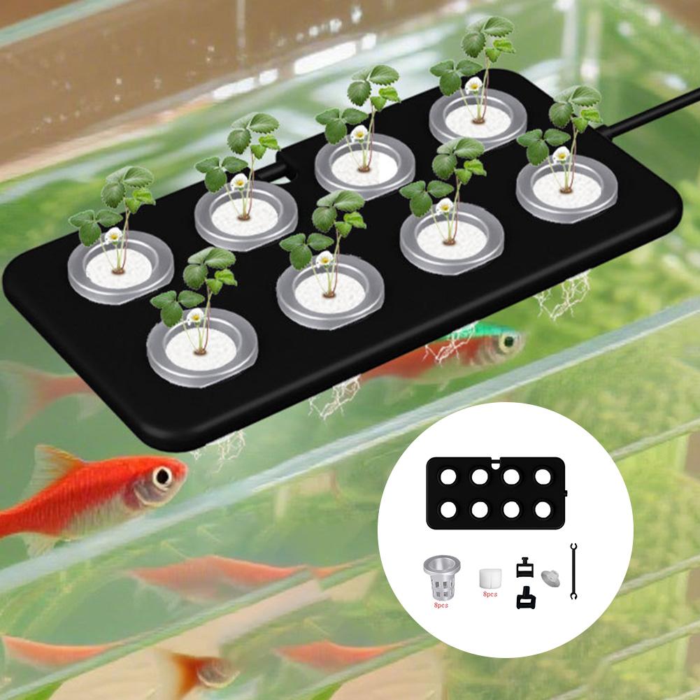Aquatic Floating Planting Board Planting Basket 22.8*11.7cm Wall-mounted Suction Cup Aquarium Landscaping Supply China Mainland