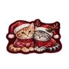Irregular Shape Entryway Rug Cat Dog Decor Door Mat Hallway Entrance Mat  Front Door Hallway