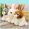 Cute And Adorable Rabbit Plush Toy Soft And Cuddly Gift For All Ages