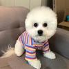 Cotton Rainbow Pet Sweater Spring and Autumn Small Dog and Cat Clothing