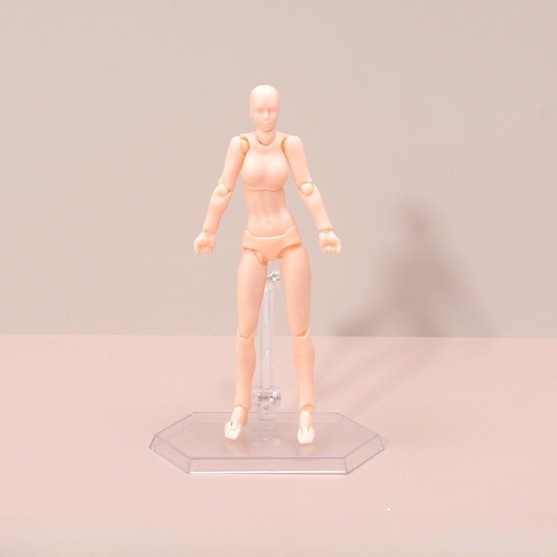 Figma Action Figure Male Female Pvc Model For Drawing And Enthusiasts Display