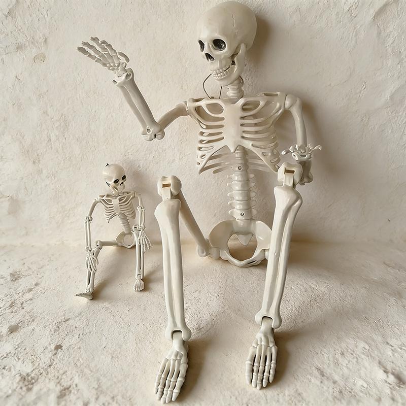 Esqueleto Humano Halloween Realista Articulado Cuerpo Completo Calavera Huesos Decoración Aterradora para Casa Embrujada Fiesta Interior Exterior Exhibición