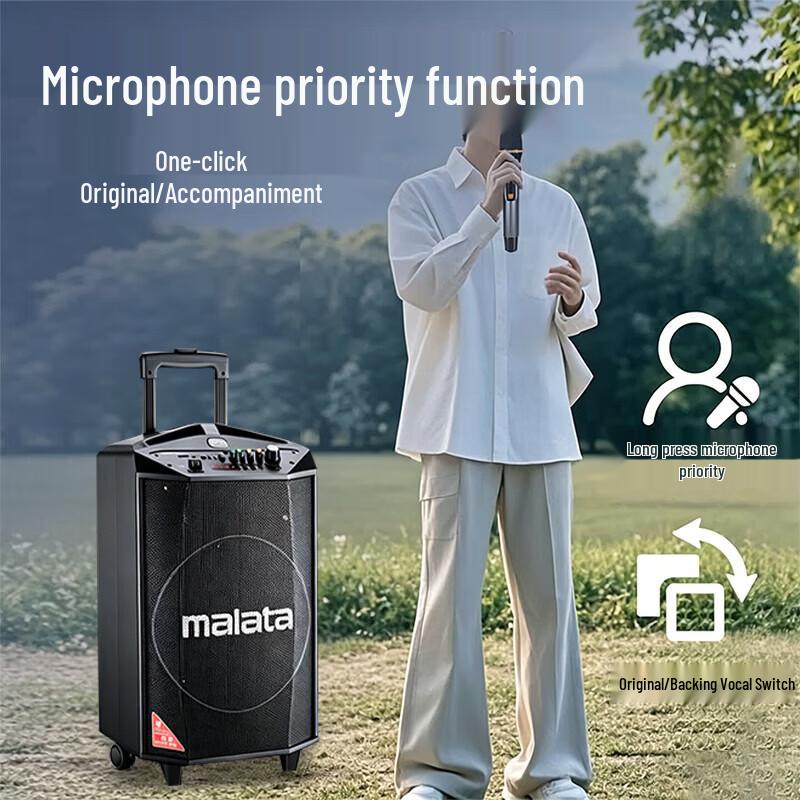 Malata M+9017C Portable Bluetooth Trolley Speaker with Microphone (CN Version)