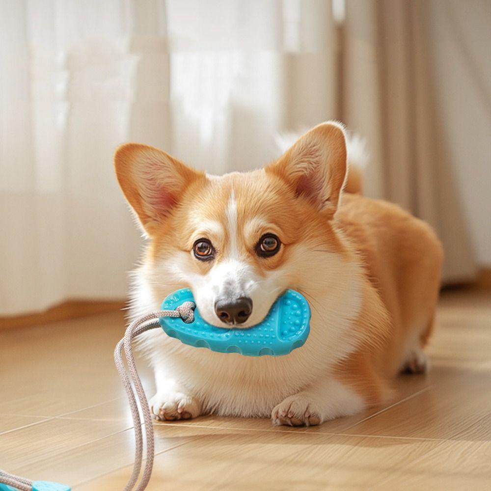 TPR Dog Suction Cup Slippers Toys Bite-Resistant Interactive Ball Pet Teeth Grinding Toy Elastic Dog Chew Toy Relieving Stuffy
