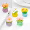 Deko & Wohnaccessoires – Dekorative Terrarien
