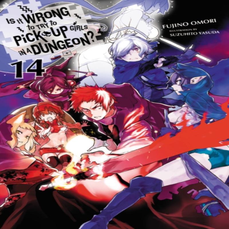 Is It Wrong To Try To Pick Up Girls In a Dungeon Vol. 14 Light... 9781975385019