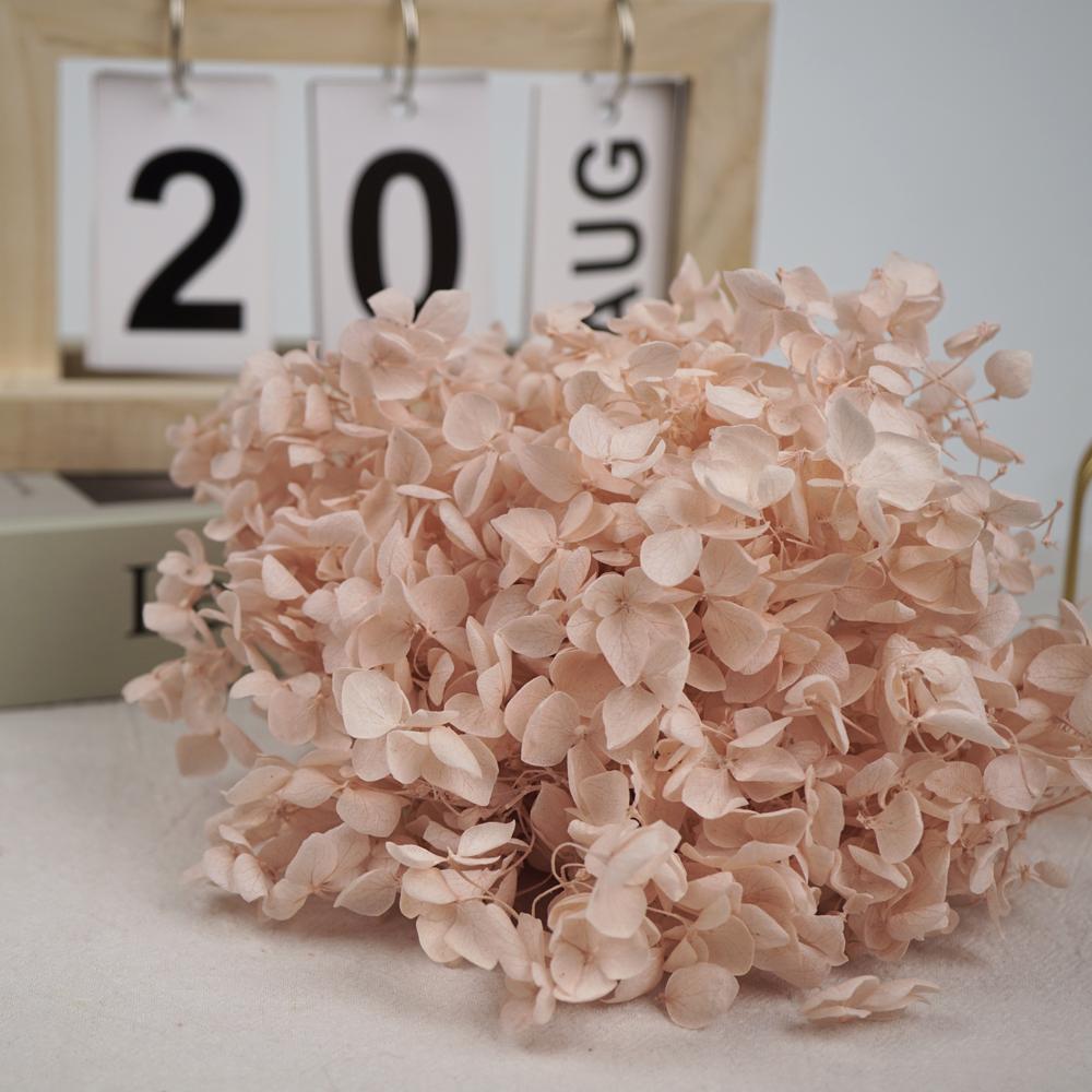 

100g/Box Preserved Anna Hydrangea Gradient Real Eternal Petals Wedding Party Gift Decoration DIY Gift Preserved Flowers Decor