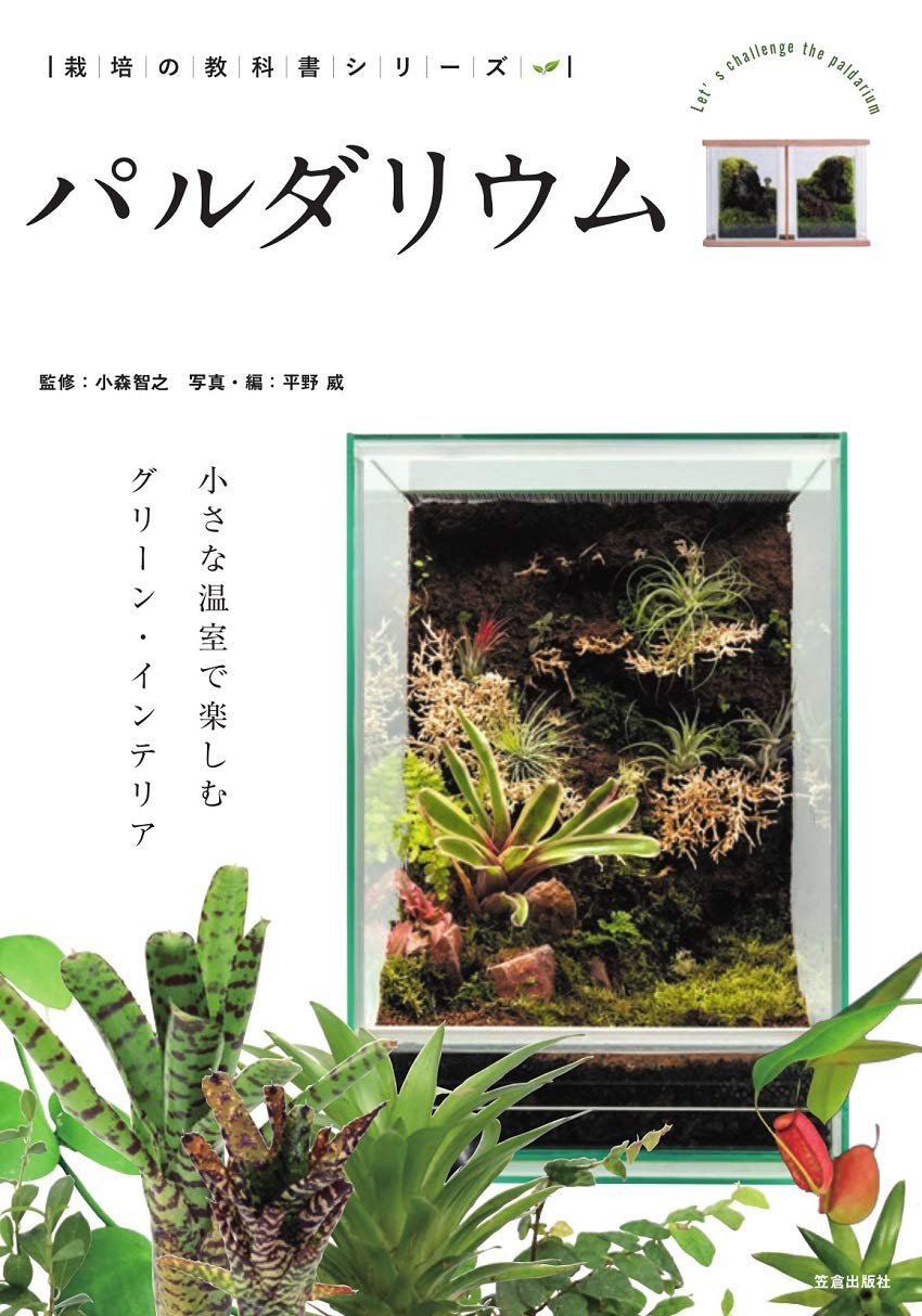 Paludarium Grünes Interieur in einem kleinen Gewächshaus genießen Lehrbuch - - (Kultivierungsreihe)