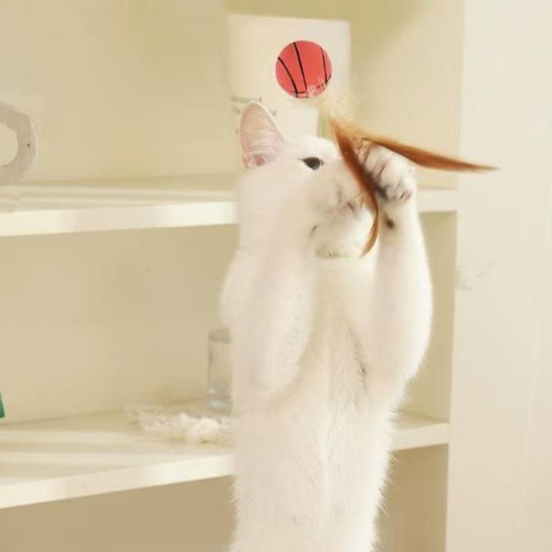 3pcs Cat Interactive Ball Toys Bouncy Balls With Feathers For Indoor Cat Bouncing Ball Cat Training Toy Pet Supplies