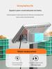 2025 Electronic Table Scale - New 300kg/150kg Commercial Weighing Model