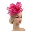 Vintage Detachable Clip Feather Headband Mesh Veil Bridal Headdress Fascinators Hats Women
