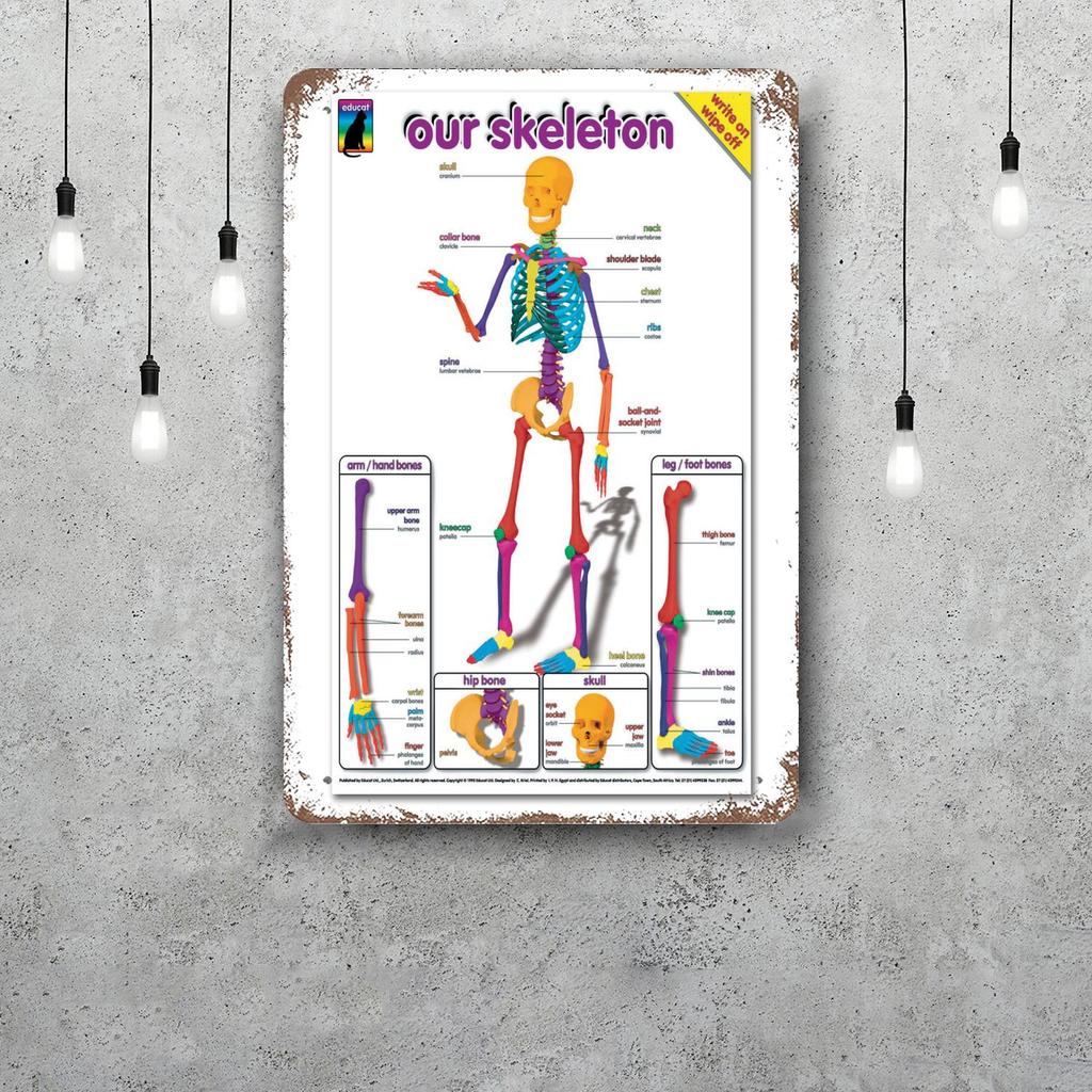 skeleton Vintage Tin Sign Home Decor Wall Decor Art Wall Mural Room Decoration Decor Retro Metal Sign Plate Bar Posters