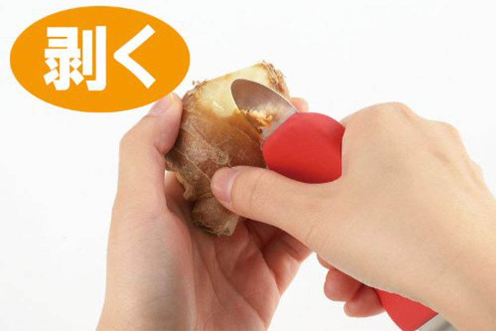 Ernest Mini Stainless Steel Grater for Peels and a favorite brand of major Condiments, Grates, restaurants, A-76174