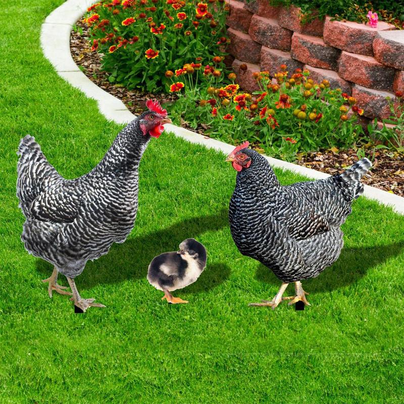 3pcs Chicken Ornaments Yard Art Decor For Backyard Rooster Animals Stakes Animals Sculptures Garden Decoration