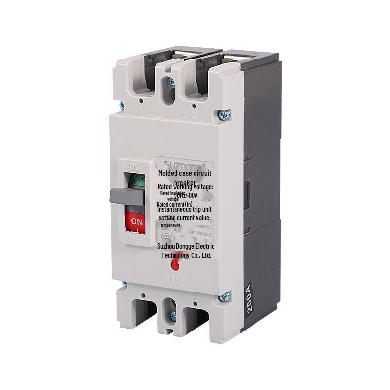 Molded Case 2P Circuit Breaker 100-250A Single-Phase 220V Double Pole Air Switch