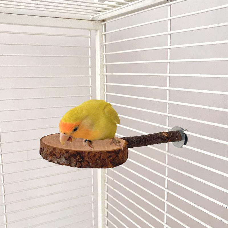 Papageienständer, Vogel Tischtennisplattform, Totoro Beißspielzeug, Apfelholz Sprungplattform, Eichhörnchen Holzständer, Gleitbeutler Sprungstange