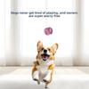 Cute and Novel Dog Toys That Can't Bite Through Balls, Outdoor Interactive Training Combination Ropes, Pet Self-entertainment Toys
