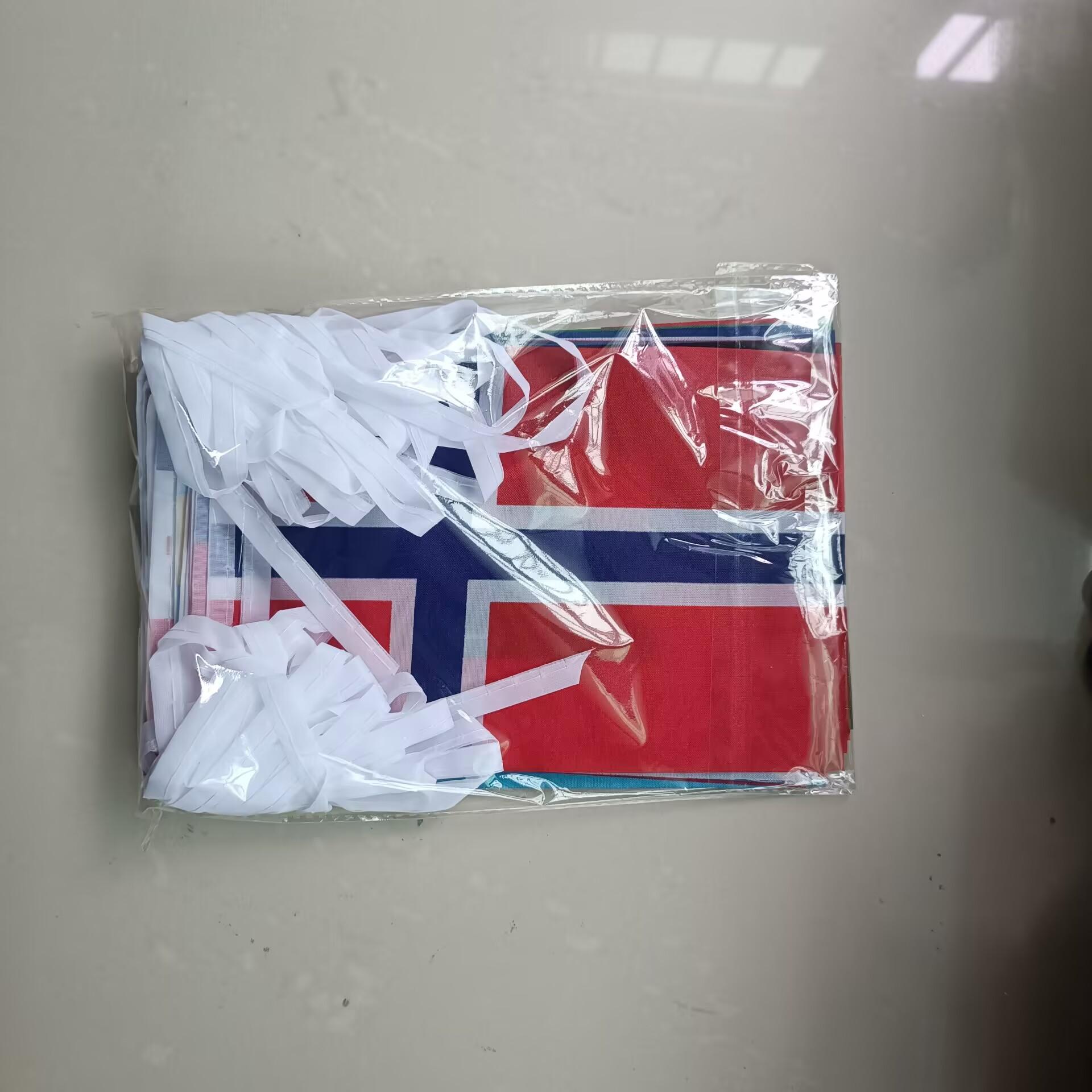 

Xvggdg 48pcs 2026 football Cup Flag 14x21cm Small World Flag Hanging Flag NEW cup Countries Flag for Bar Bunting Decoration 14 x 21cm білий
