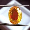 Natural Pitambari Sapphire Bi-Color Ceylon 10-12 Ct Oval Cut Fabulous Gemstone