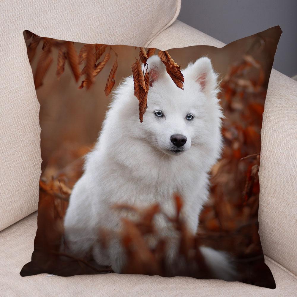 50 Stil Husă de Pernă Câine Alb Drăguț Samoyed Decor Husă de Pernă Animal de Companie Iubitor Husă de Pernă Moale de Pluș pentru Canapé Cameră Copii