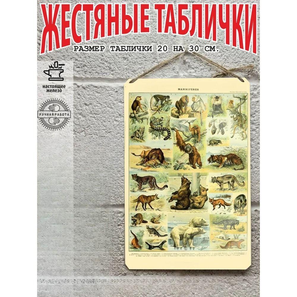 Большой металлический жестяной знак с изображением животных, растений, природы, настенный постер