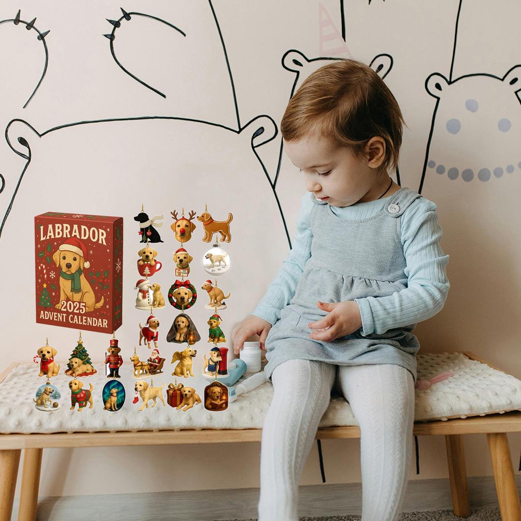 2D Plochý Akrylový Mystery Box 24ks Přívěsek s Krabičkou Letadla Zábavný Vánoční Odpočítávací Kalendář