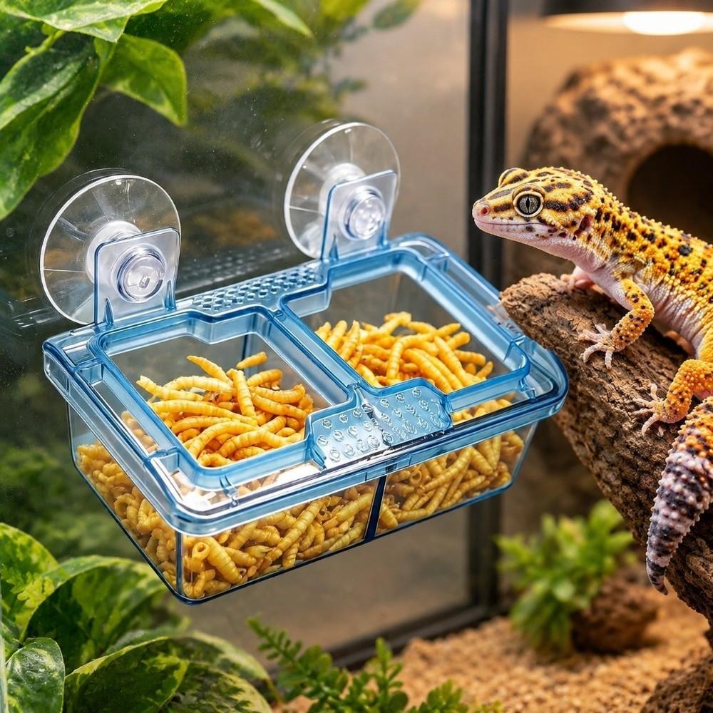 Transparent Suction Cup Reptiles Feeders Plastic Anti-Escape Food Bowl Reptile Drinker Bowl Snakes