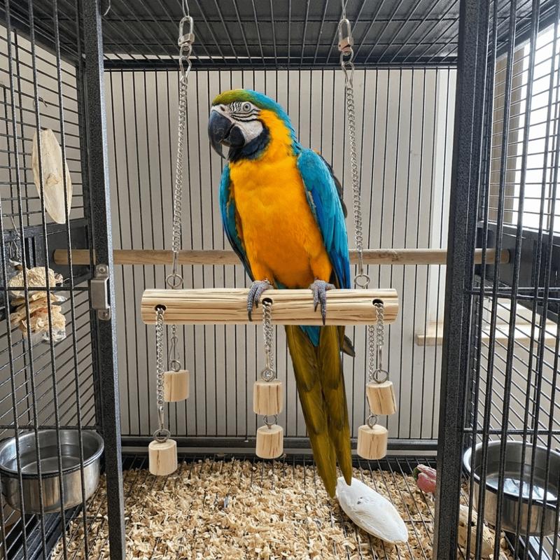 Bite Resistant Parrot Wooden Swing Non-slip Suspension Bridges Parrot Play Stand Sliding Chain Bird Standing Perch