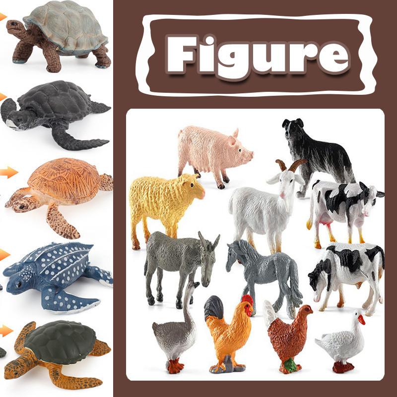 Turtle Simulation Solid Chick Frog Animal Growth Cycle Montessori Aids Teaching