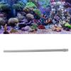 Fish Tank Wire Bristles Brush Stainless Steel Aquarium Algae Brush for Clean Algae On Stone Wood