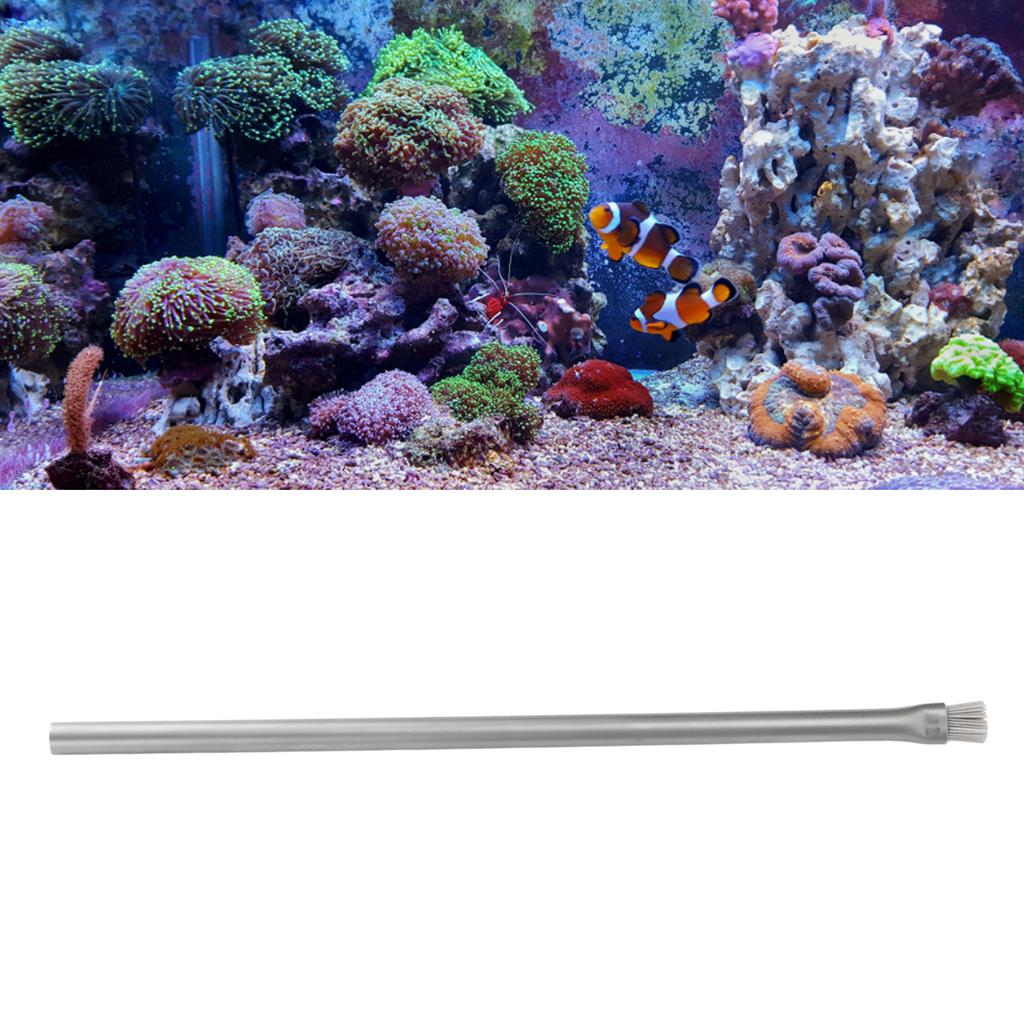 Fish Tank Wire Bristles Brush Stainless Steel Aquarium Algae Brush for Clean Algae On Stone Wood