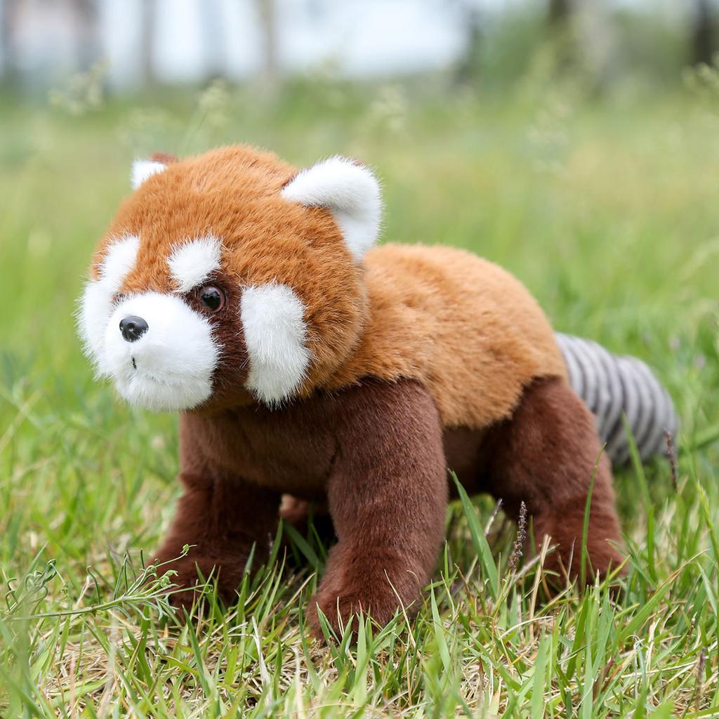 Red Panda Raccoon Animal Plush Fluffy Exterior Children Room Decoration Comfort
