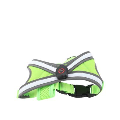 Perros – Collares y correas