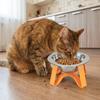 Detachable Pet High Footed Bowl Large Diameter Feeding Bowl Dog Drinking Bowl  Pet Feeding