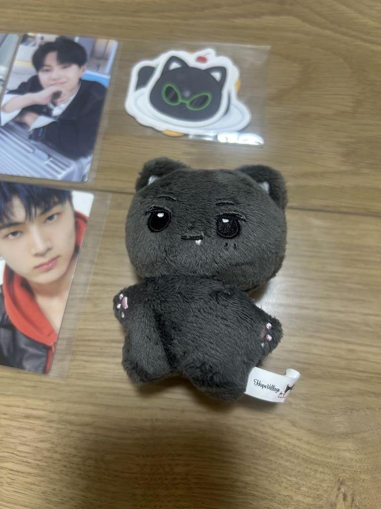 [USED] Enhypen plush toy Jay trading card